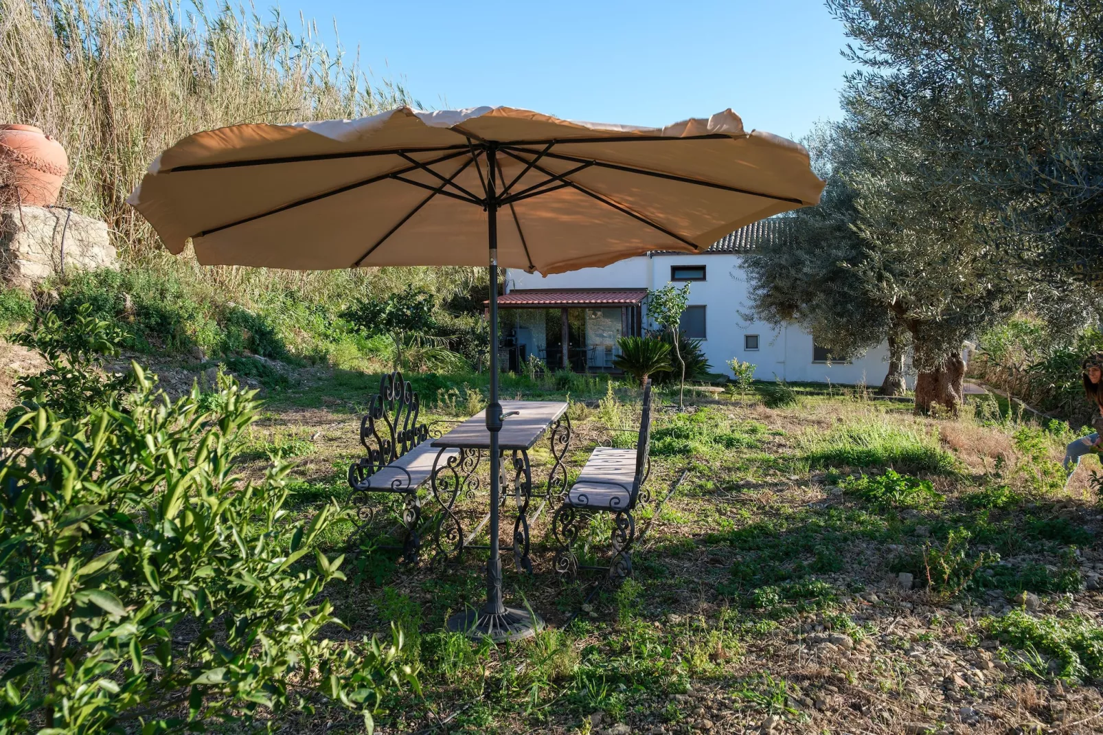 Sogni di Giove Casa Zeus - Tuinen zomer