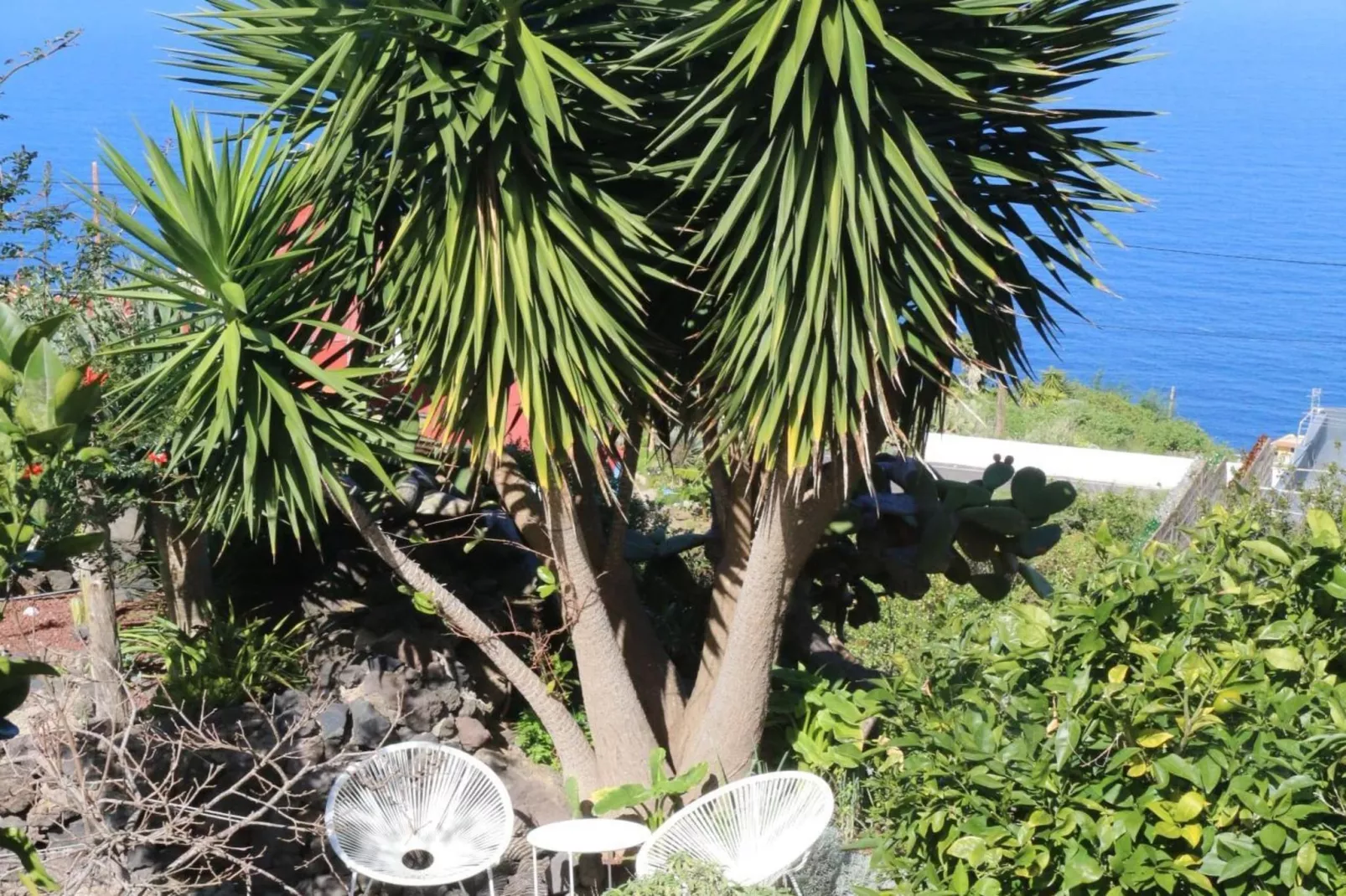 Finca La Hoya / 3-4 Personen-3-4 Personen-3-4 Personen - Tuinen zomer