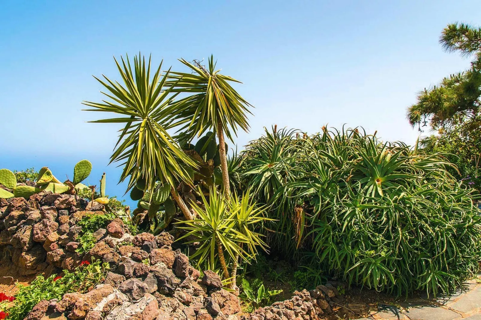 Finca La Hoya / 3-4 Personen-3-4 Personen-3-4 Personen - Tuinen zomer