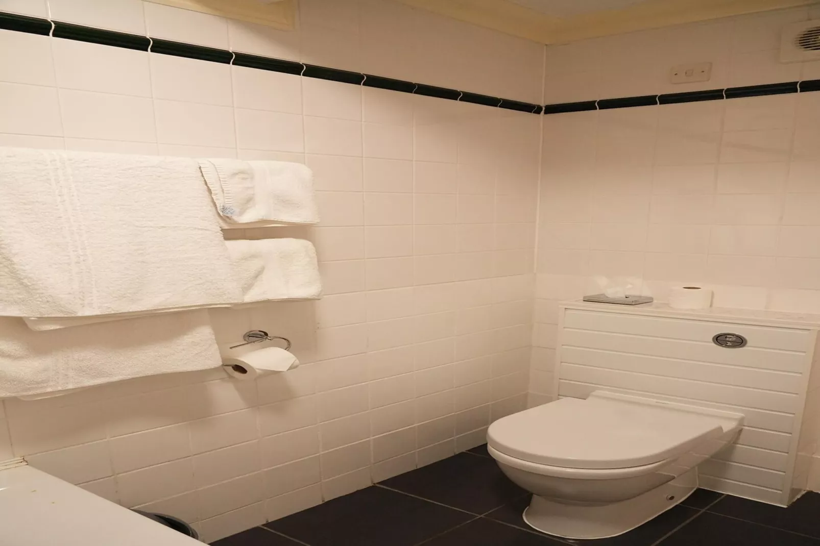 Standard Twin Room - Badkamer
