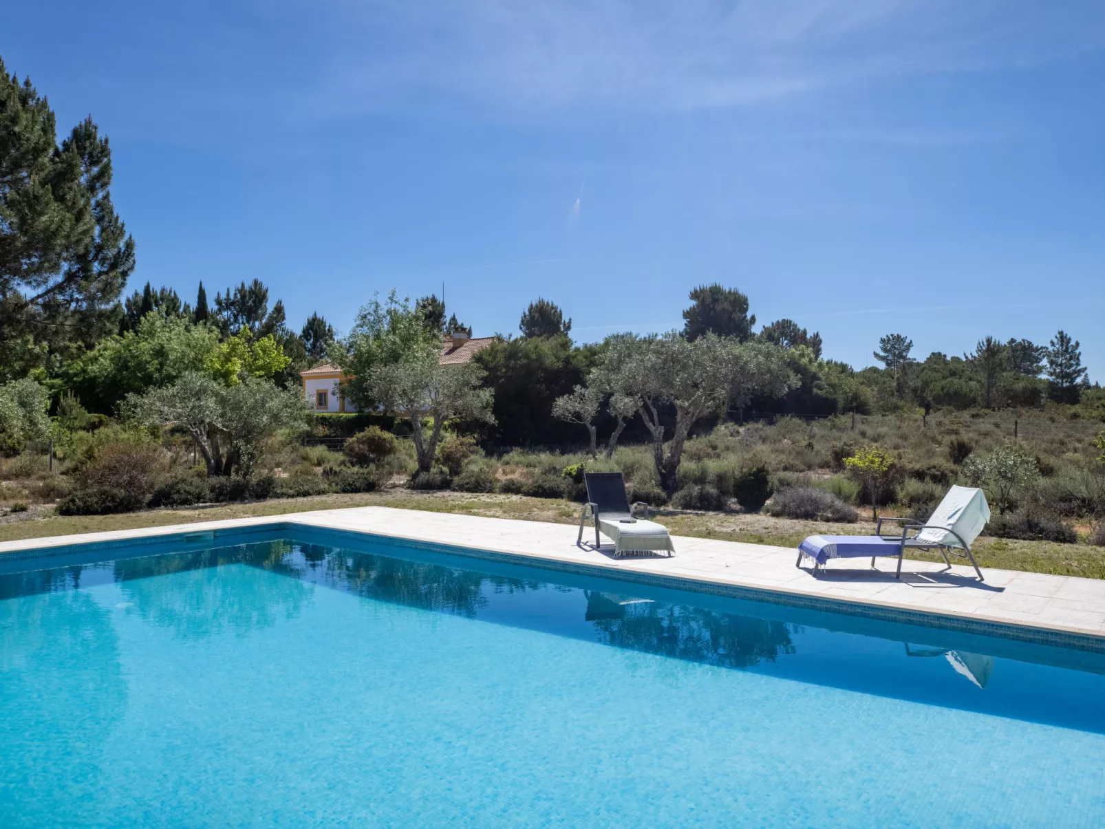 Vista Panorâmica, Herdade de Montalvo-Buiten