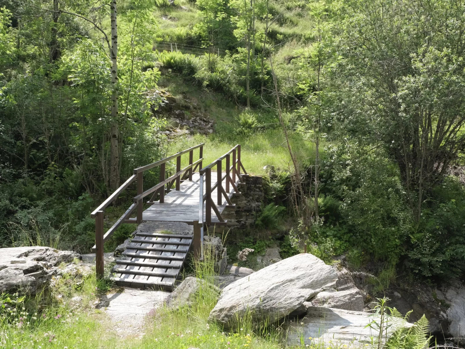 Rustico Pamela - Omgeving