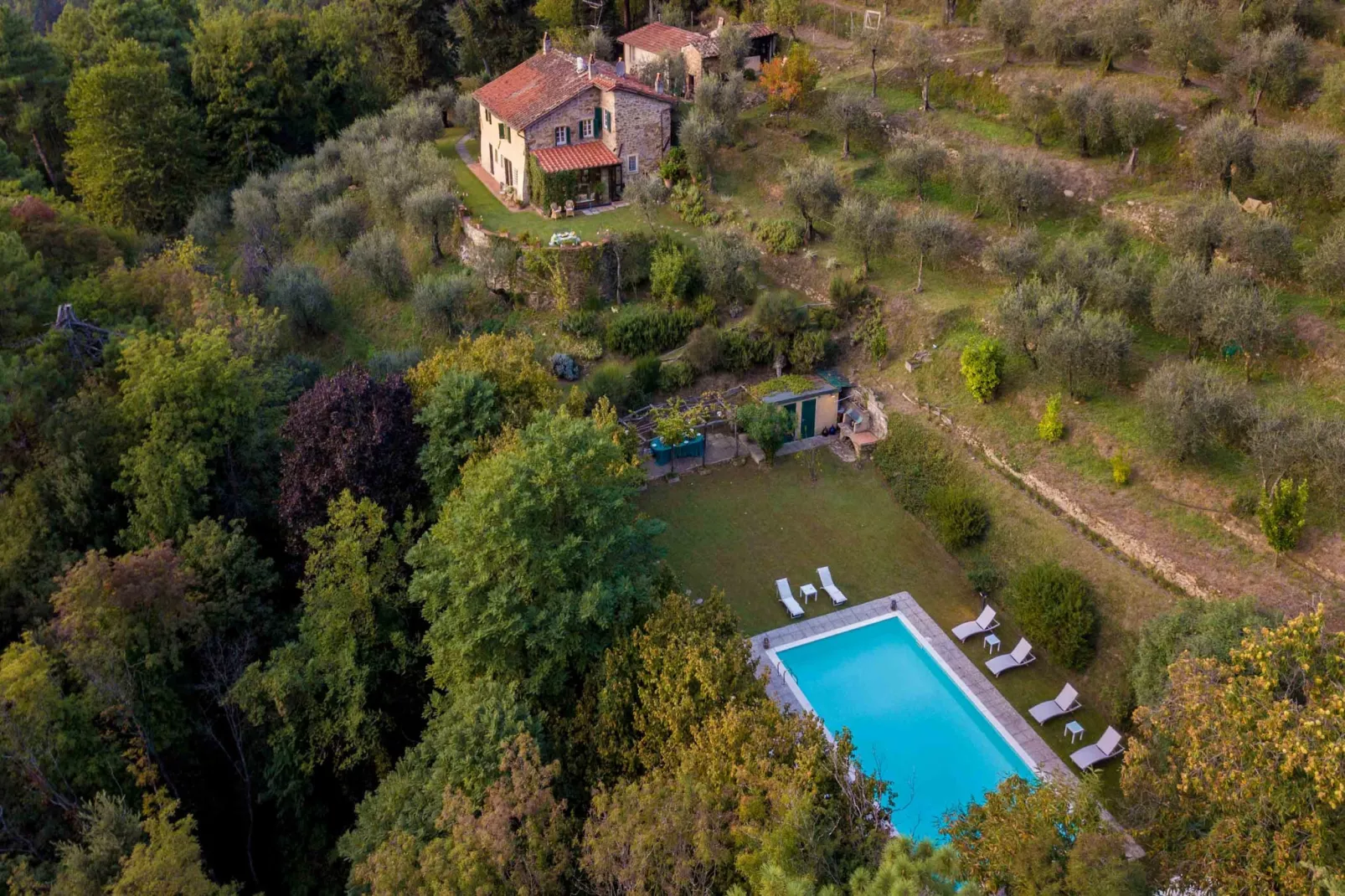 Casa Nel Bosco