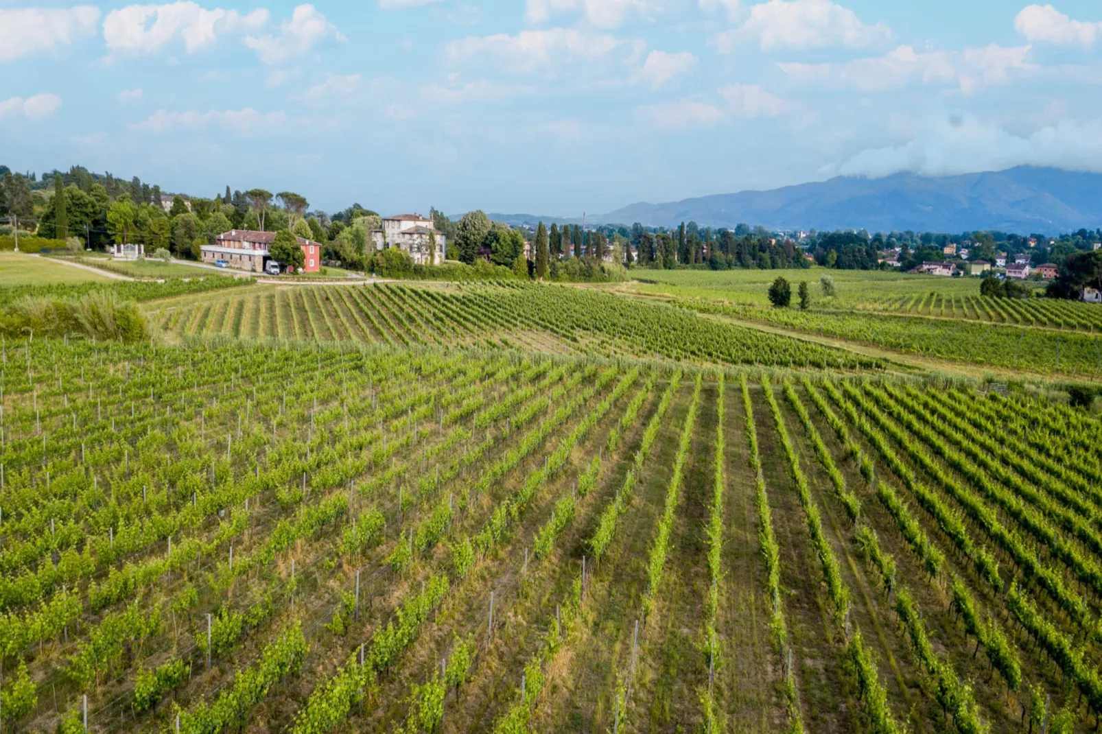 Maria Farmhouse Apartment in Wine Resort in Lucca