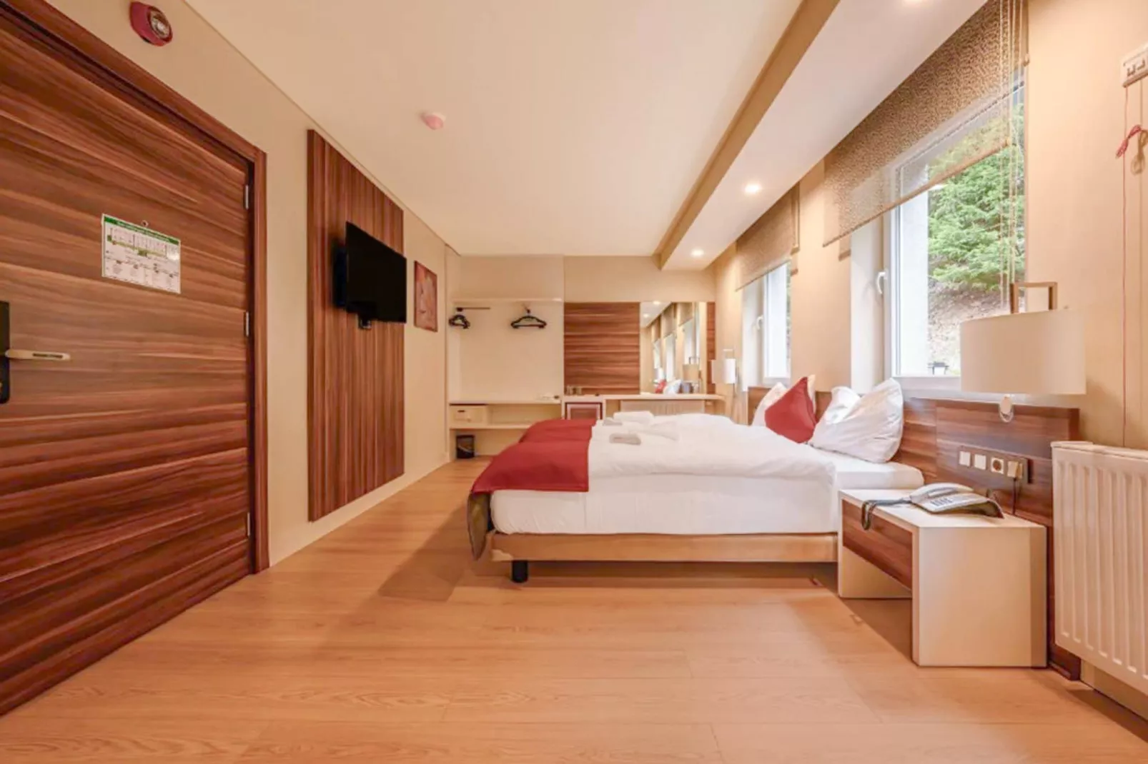 Schwarzbachtal  - Wheelchair Accessible Double Room
