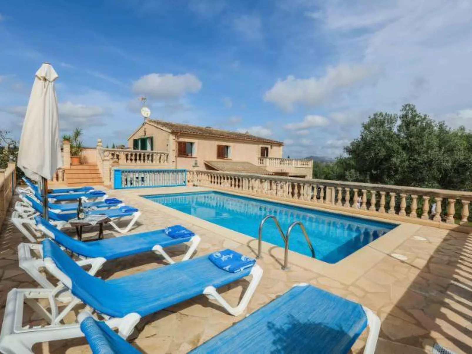 Cogol