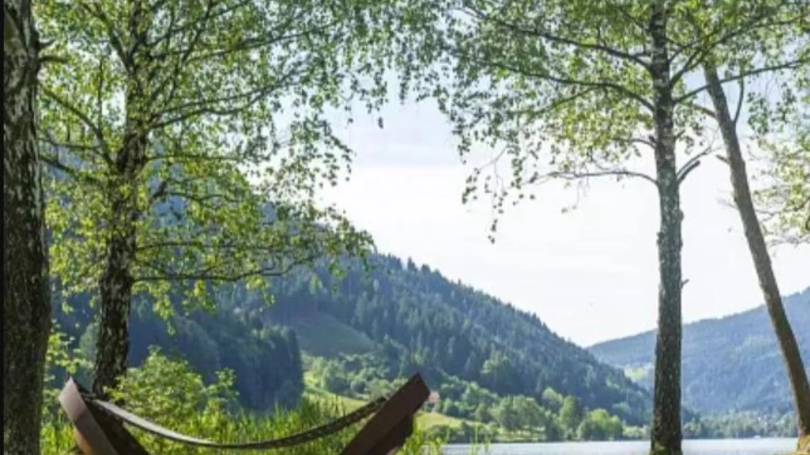 Alpenchalet Afritz am See - Gebieden zomer 1km