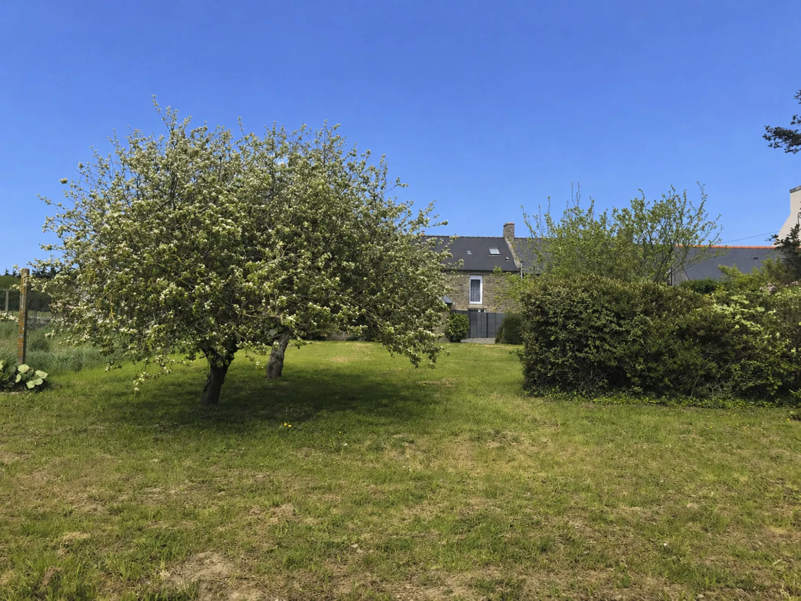 La Maison de Léa - Buiten