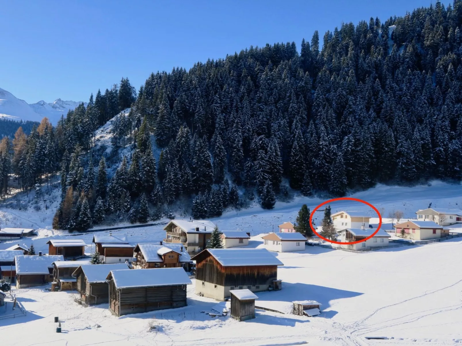Casa Segnas/Lindt, (Segnas).