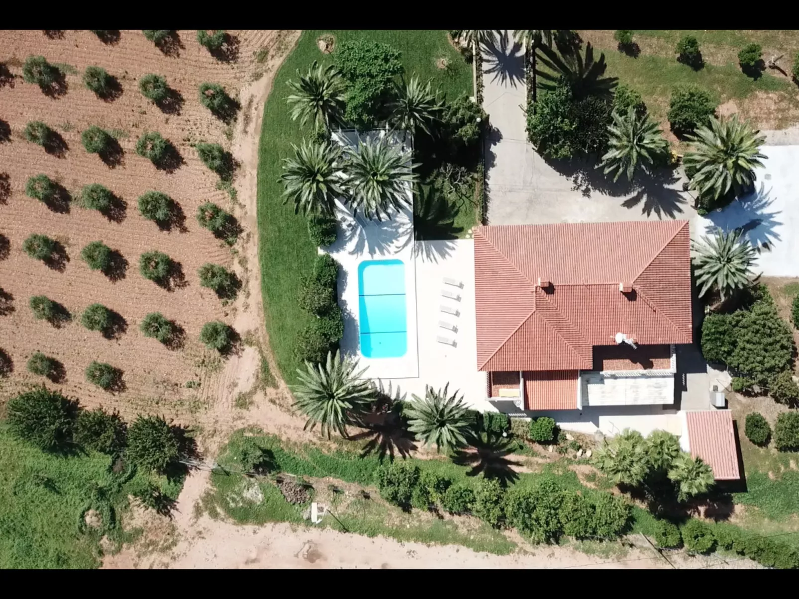 VILLA CAN RIBES - OASIS PALMA