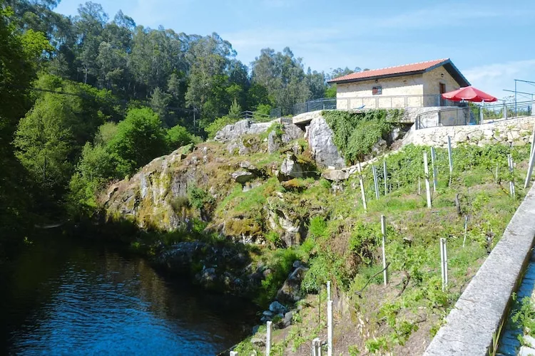 Holiday home Vale de Cambra