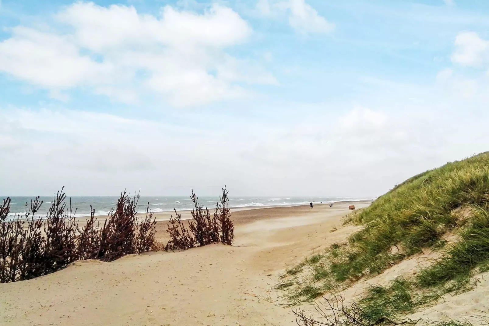 Modern vakantiehuis in Harboøre met uitzicht op het meer-Uitzicht