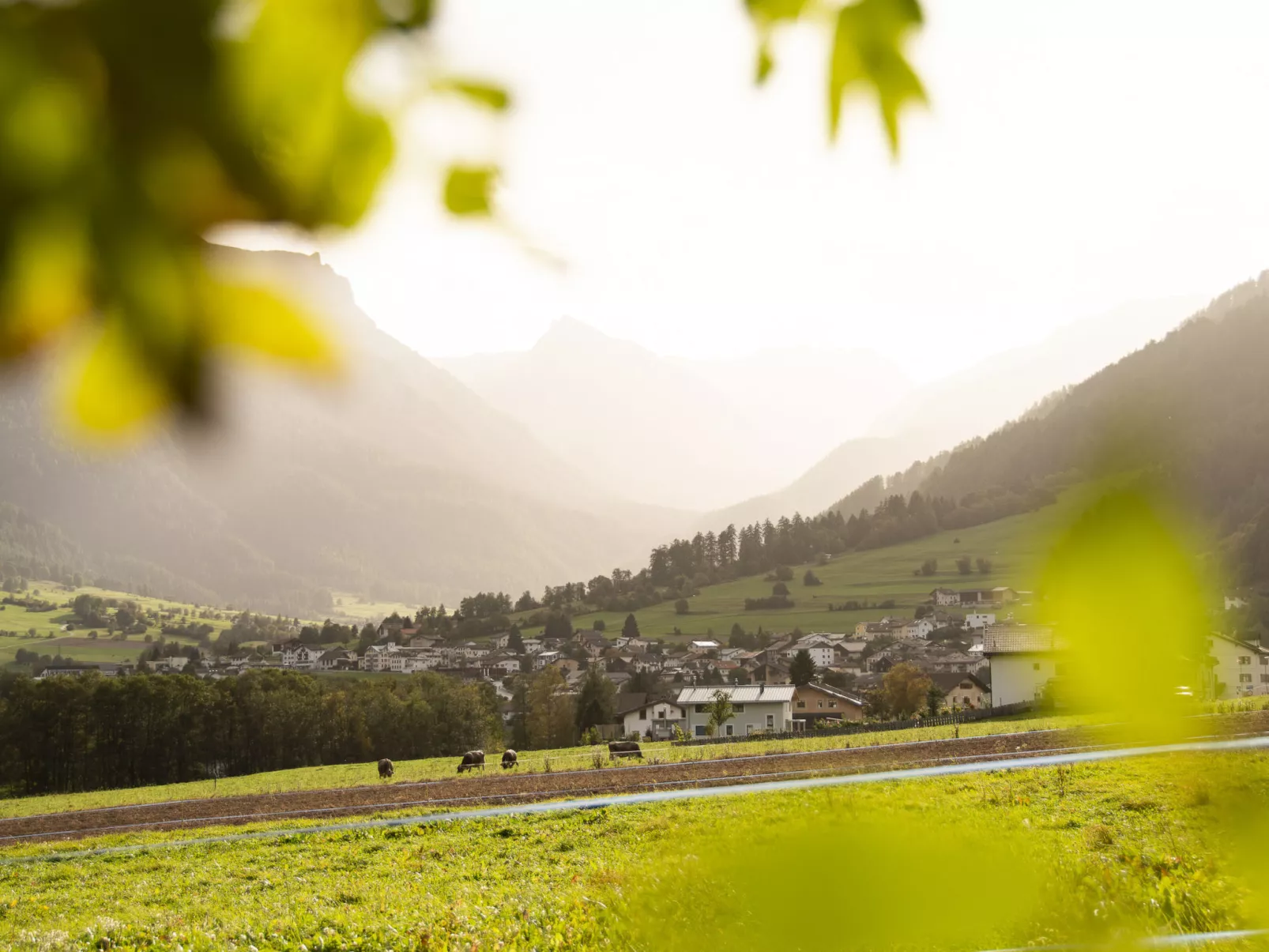 Schaivel, (Müstair).