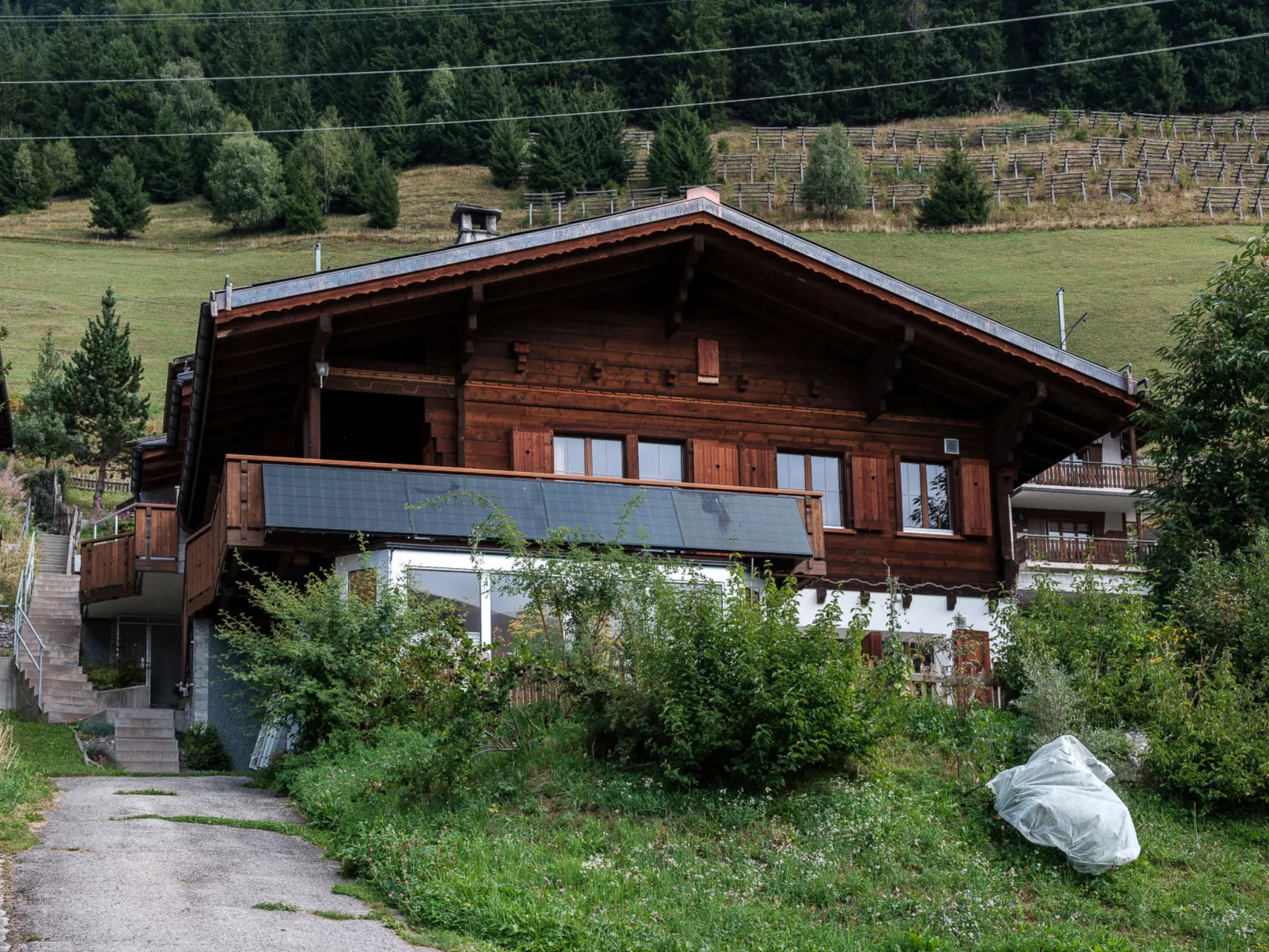 Tingalina Reichlin, (Sedrun).