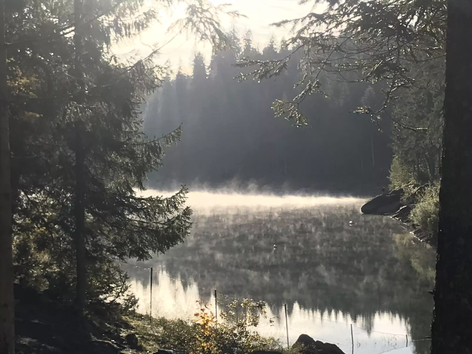 Casa Primavera B32, (Flims Dorf). 3.5 Zimmerwohnung