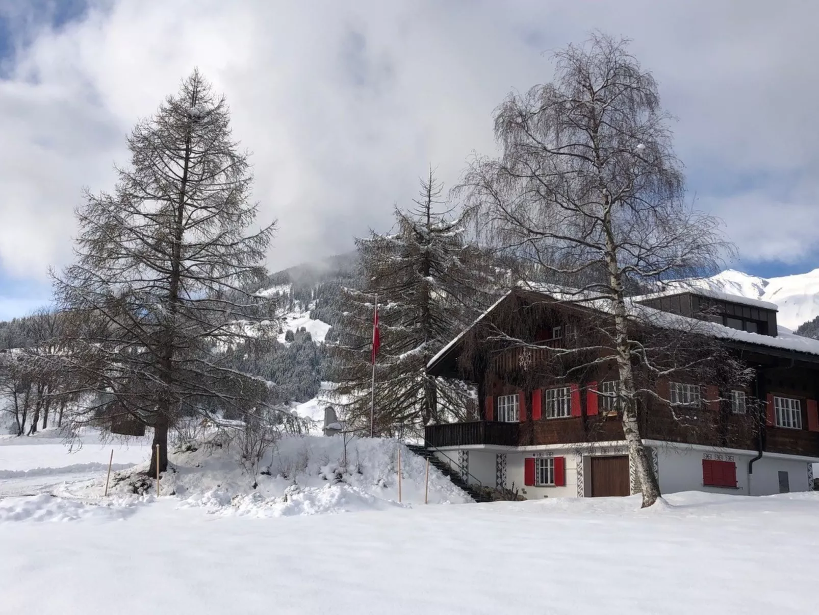 Steiger-Nellen Buretsch, (Segnas/Disentis).