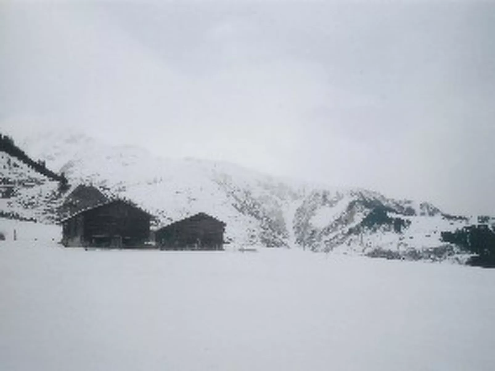 Cascharolas Bellingreri, (Rueras/Sedrun).