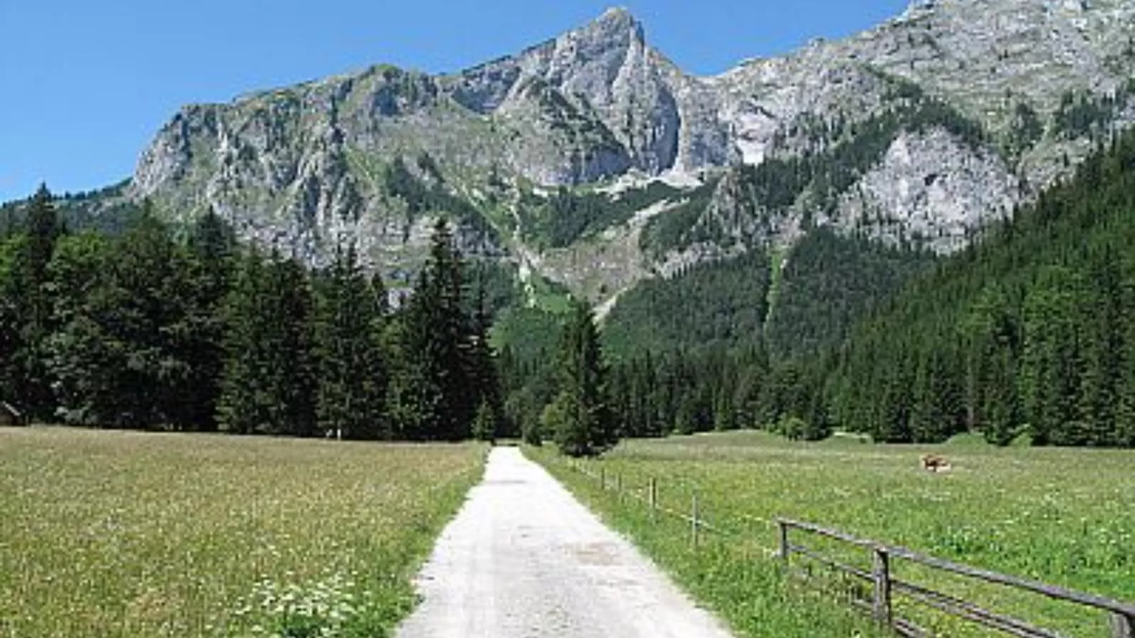 Almhütte Seebergalm - Gebieden zomer 20km