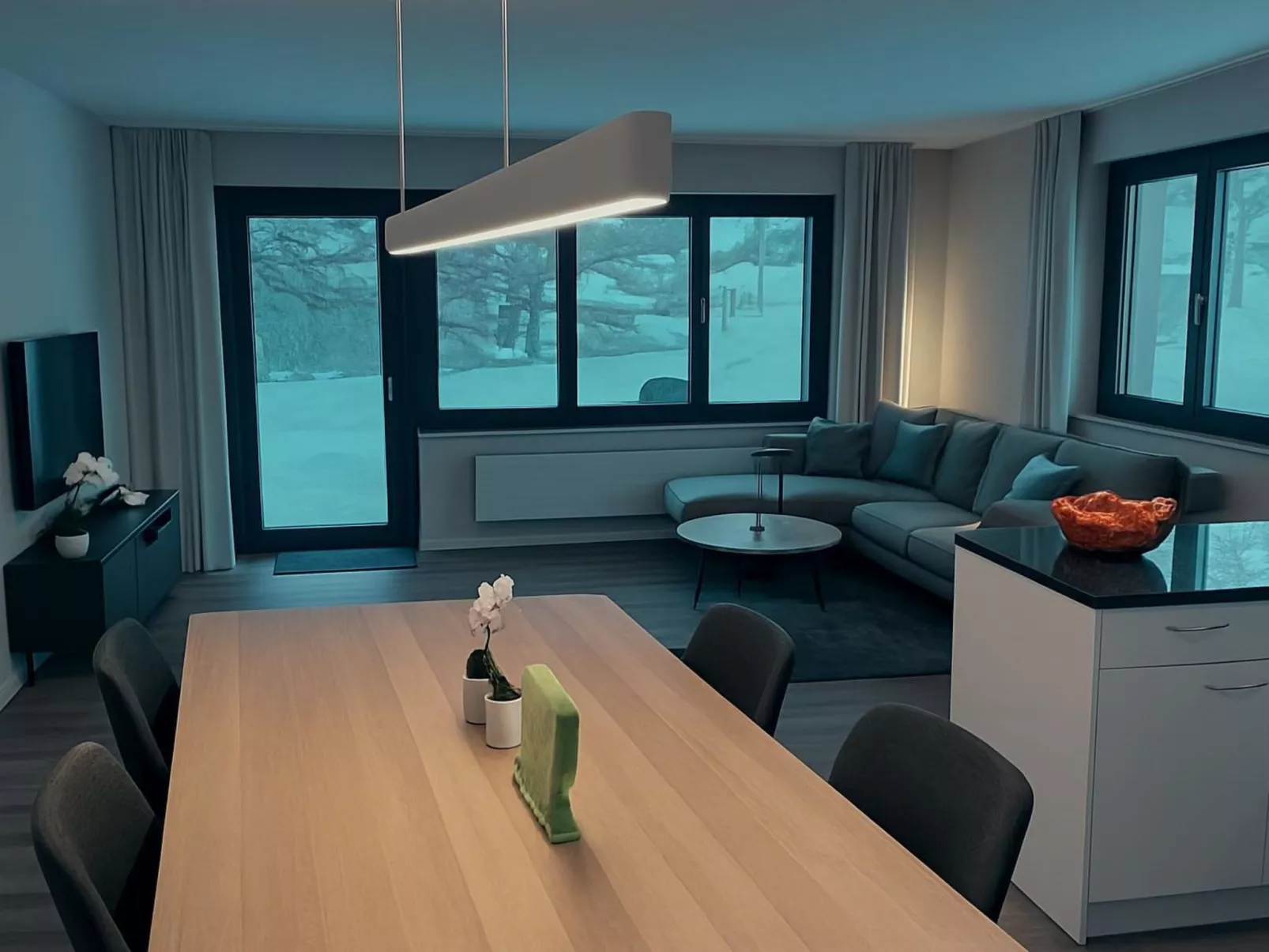 Ginseng 6 3½-Zimmerwohnung