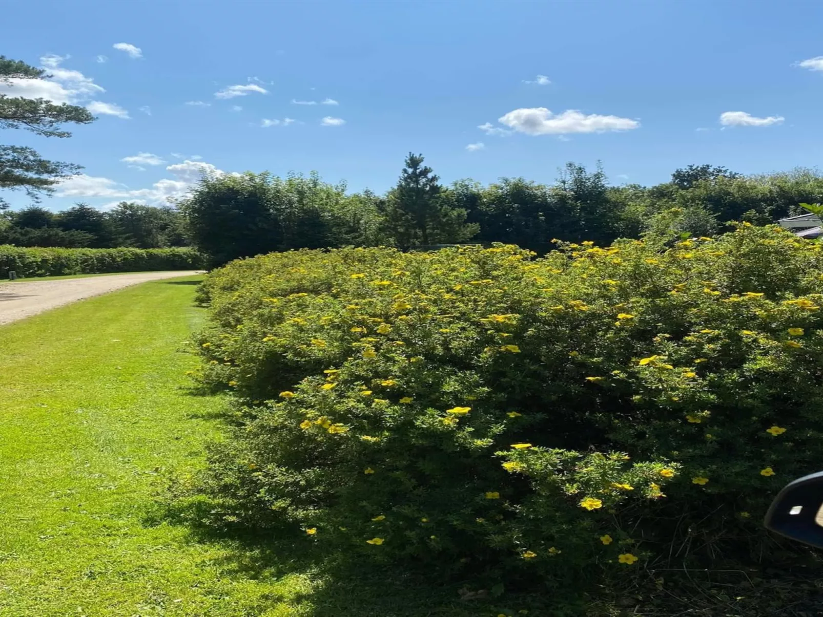 "Vilhelm" - 10km from the sea - Buiten