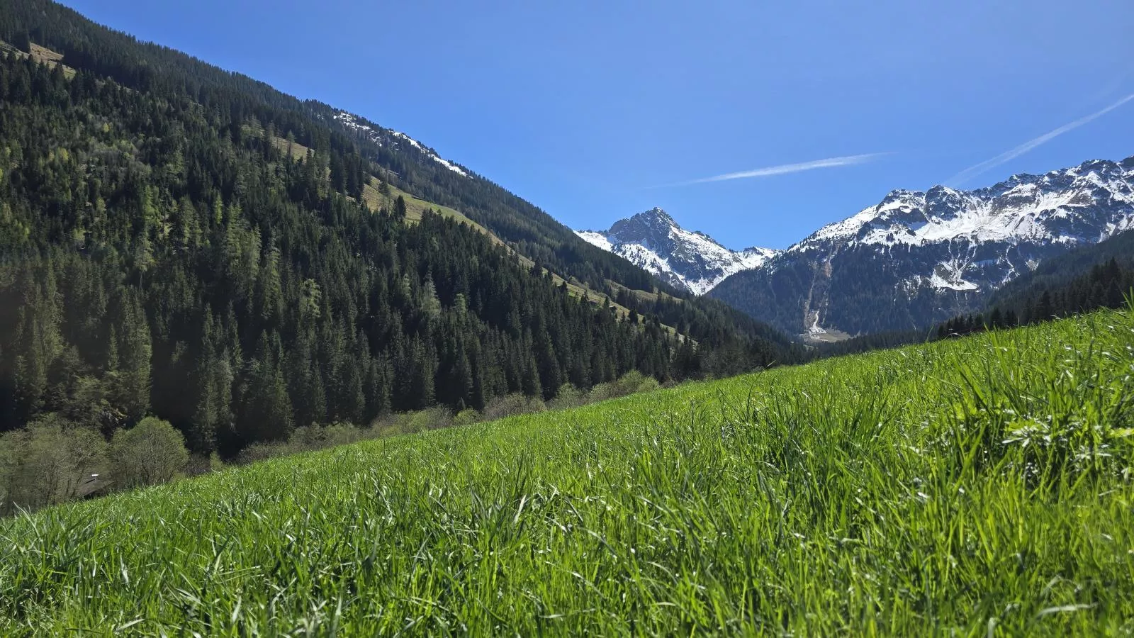 Hacklerhof Top 3 - Uitzicht zomer