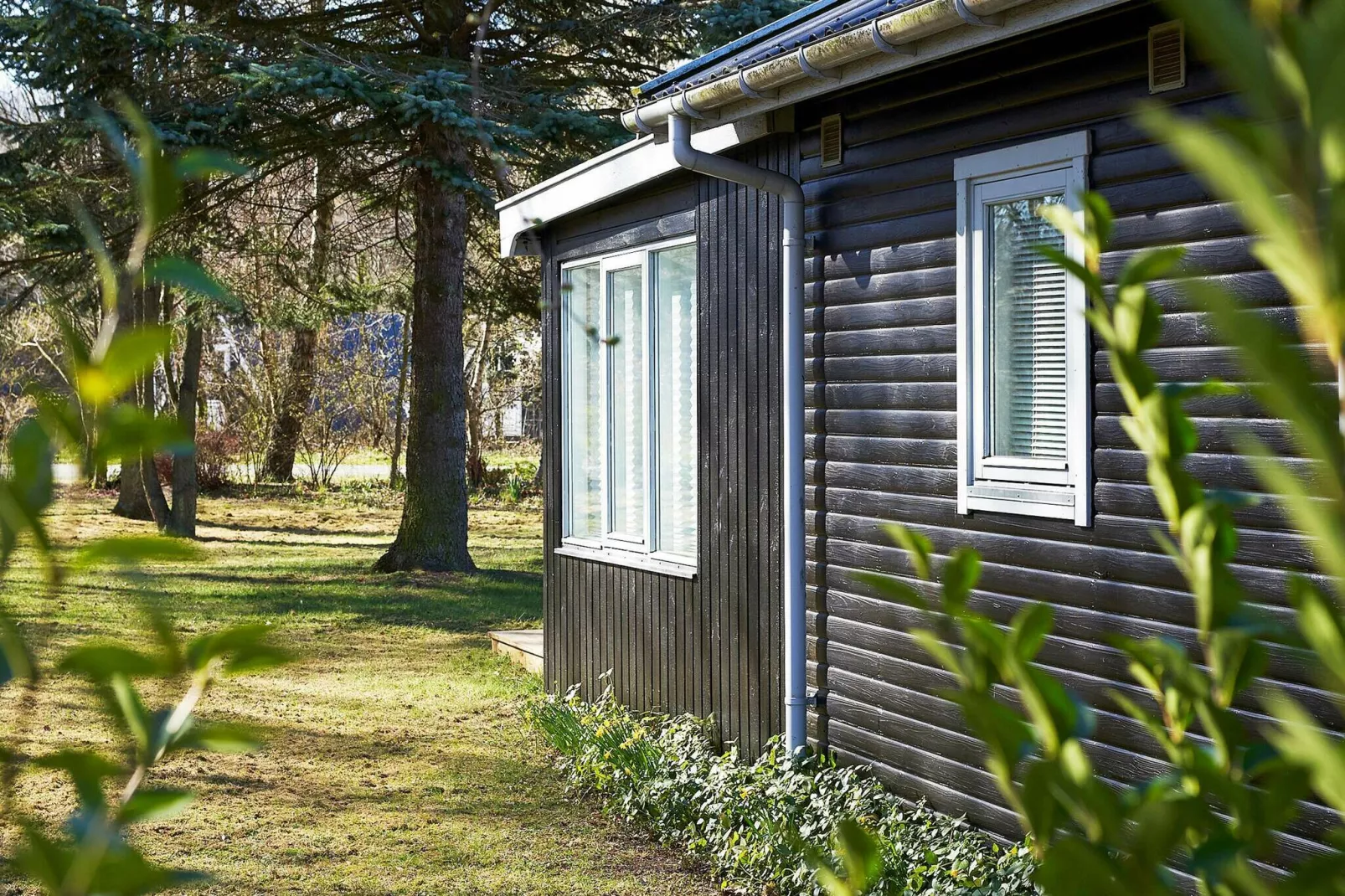 Rustig vakantiehuis in Hasle dicht bij het bos-Uitzicht