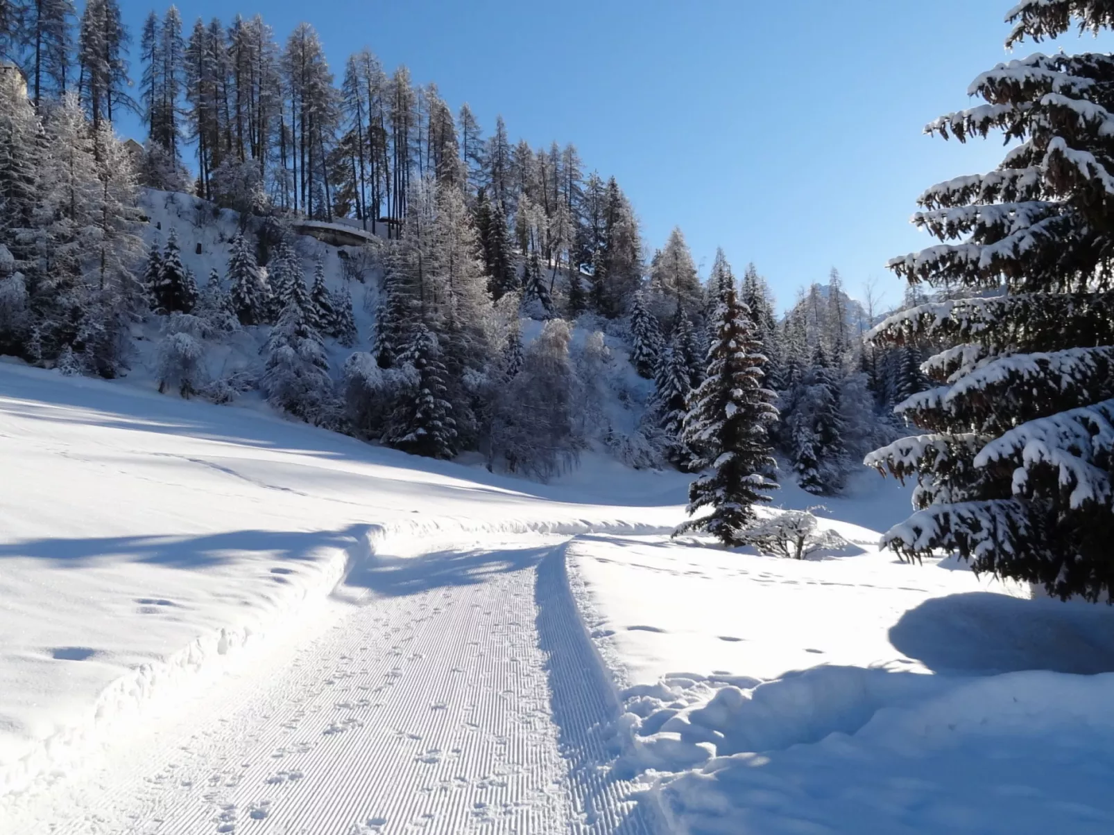 Chasa Quadra, (Tarasp) - Buiten
