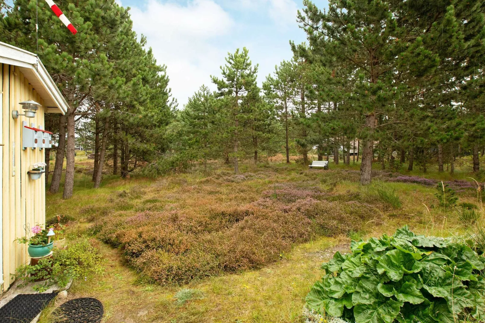 Kustsereniteit bij Yderby Lyng-By Traum-Uitzicht