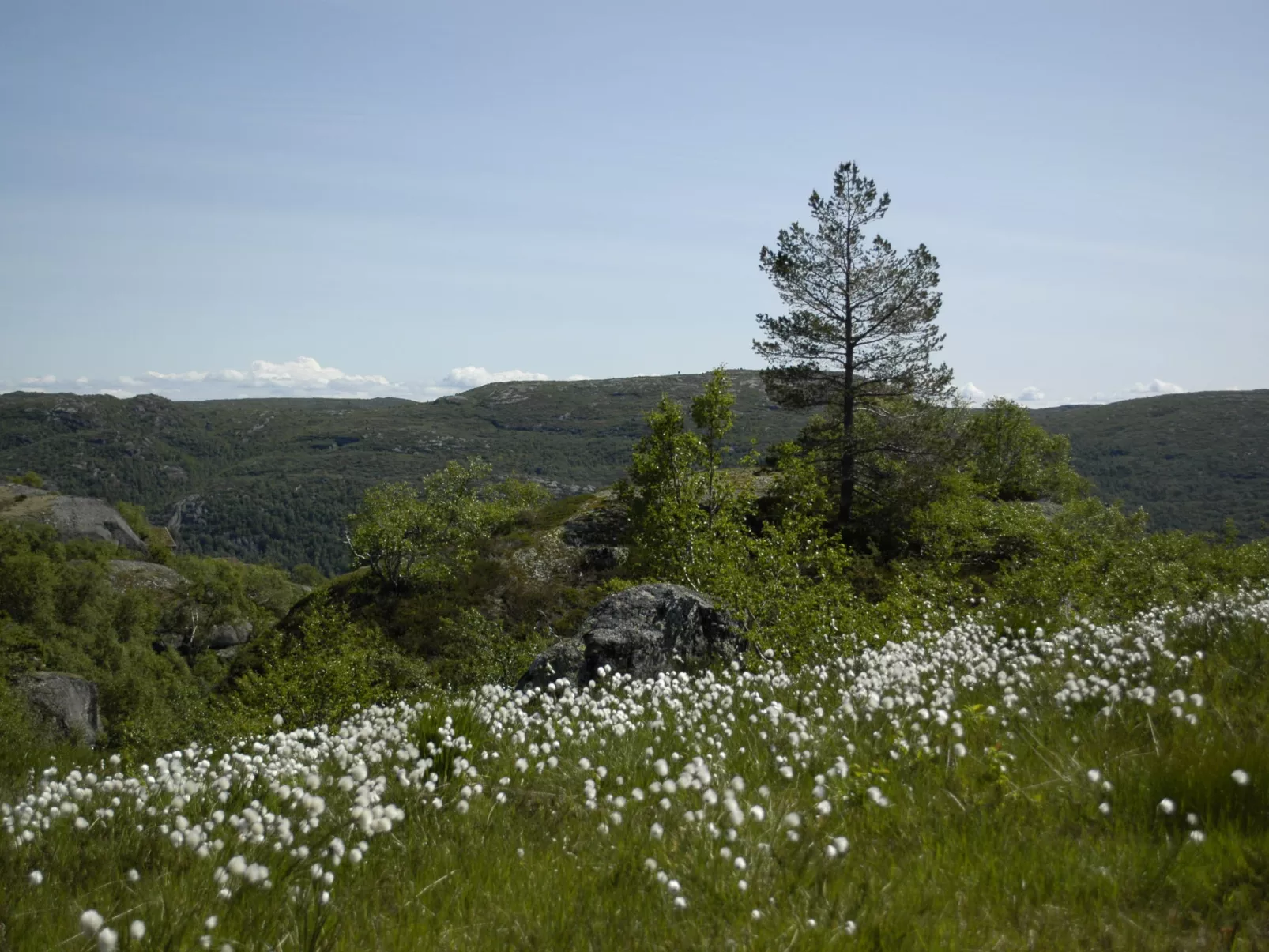 Bjørnnåslia-Buiten