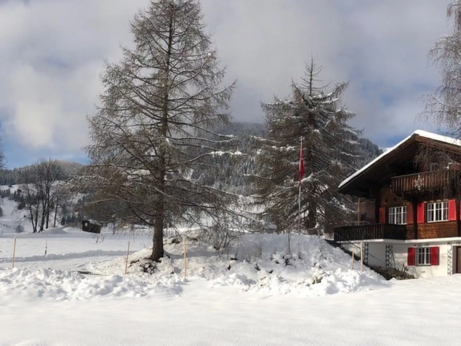 Steiger-Nellen Buretsch, (Segnas/Disentis).