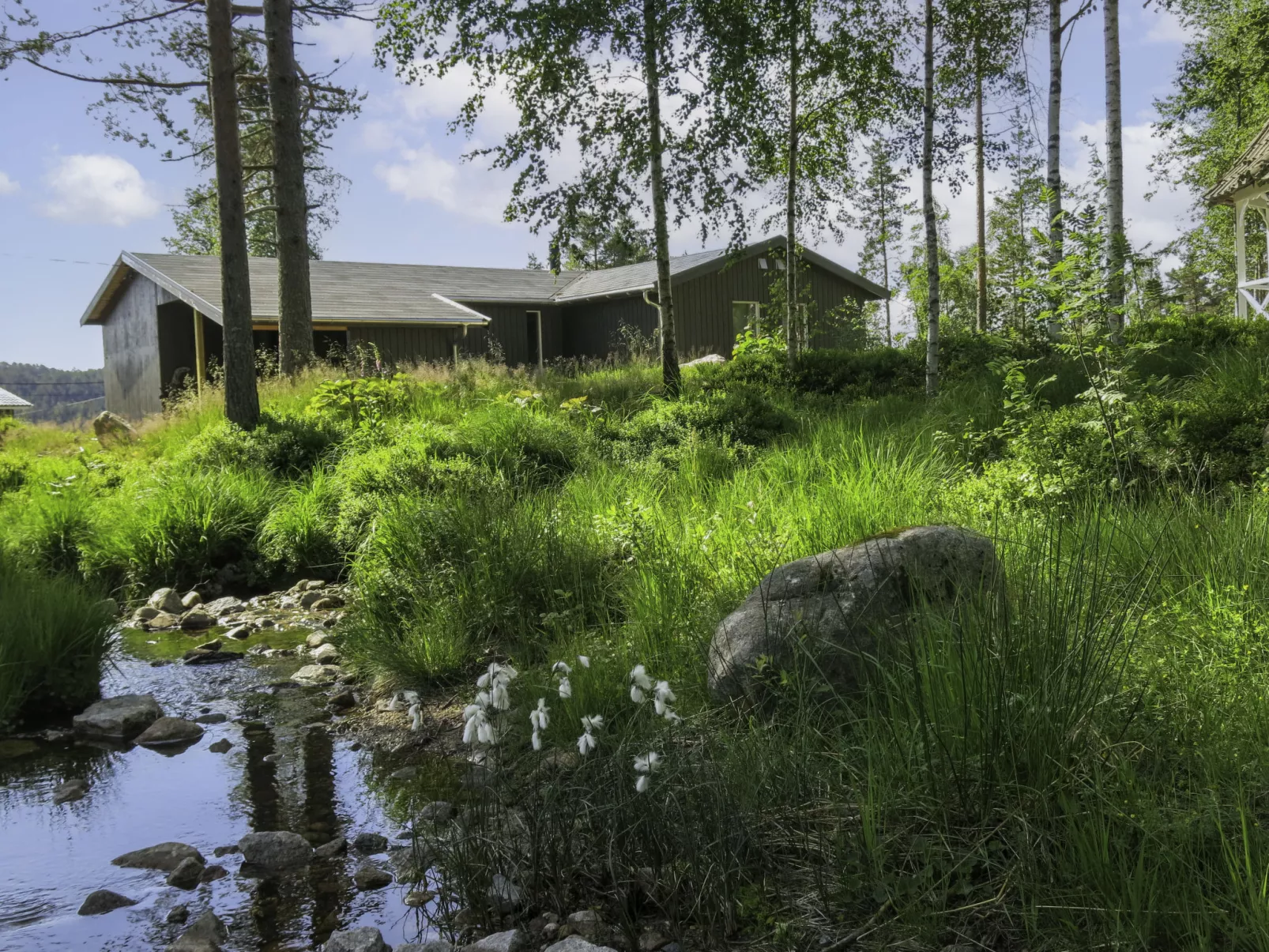 Bjørkstue-Buiten