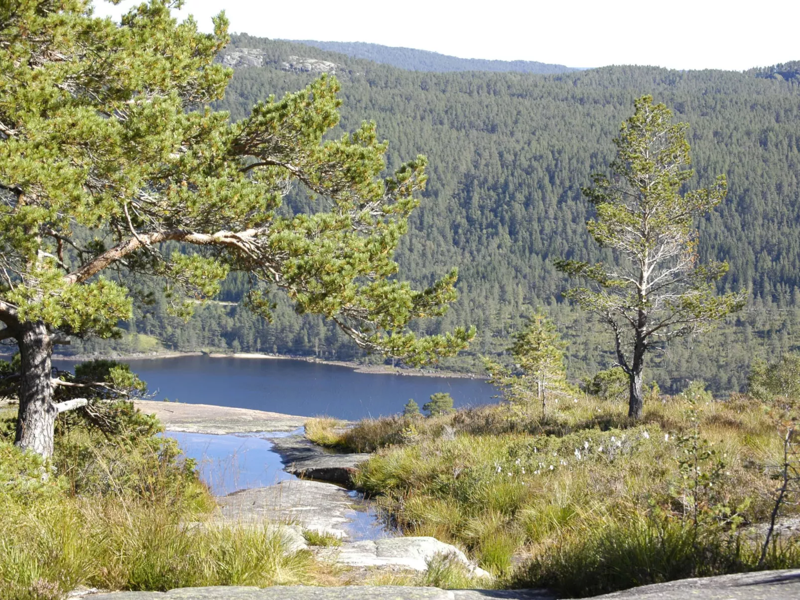 Bjørkstue-Buiten