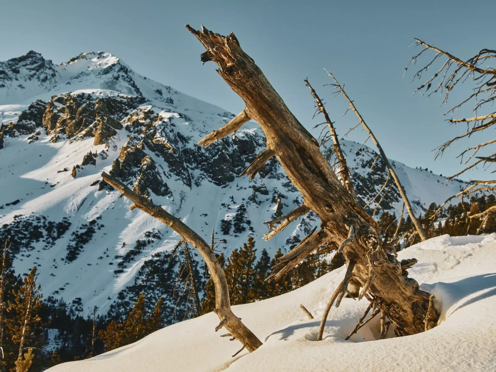 Hütte Ova Spin il Cuvel, (Zernez).