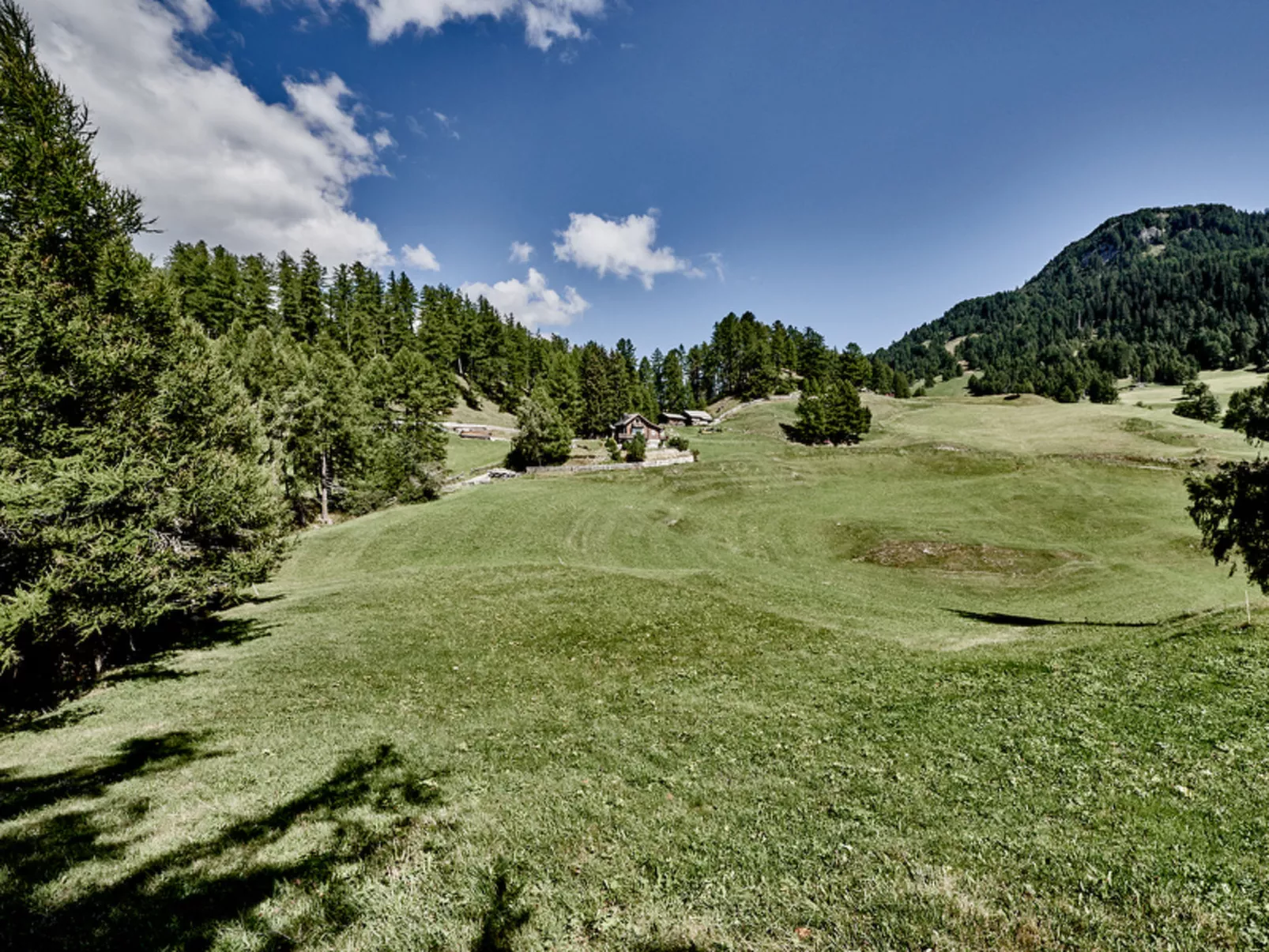 Chalet Lieuretta da Tscharfs, (Feldis).
