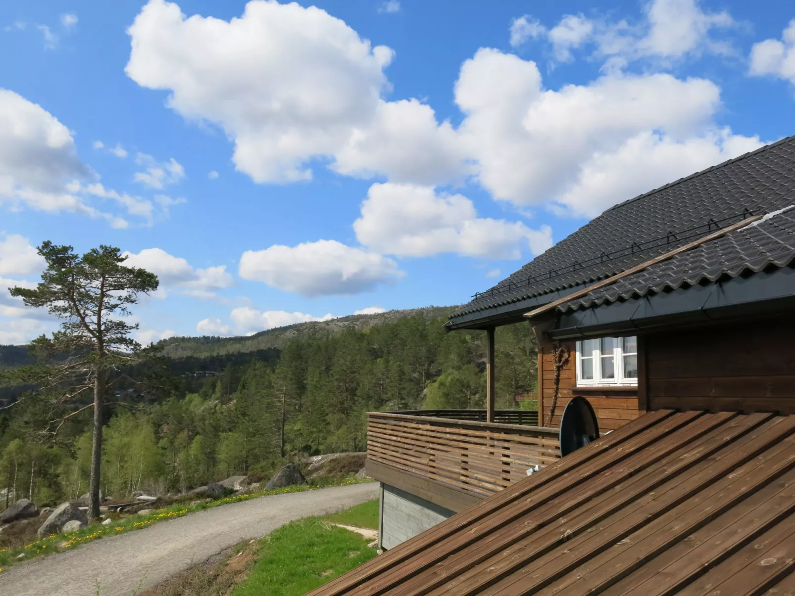 Fjellkos-Buiten
