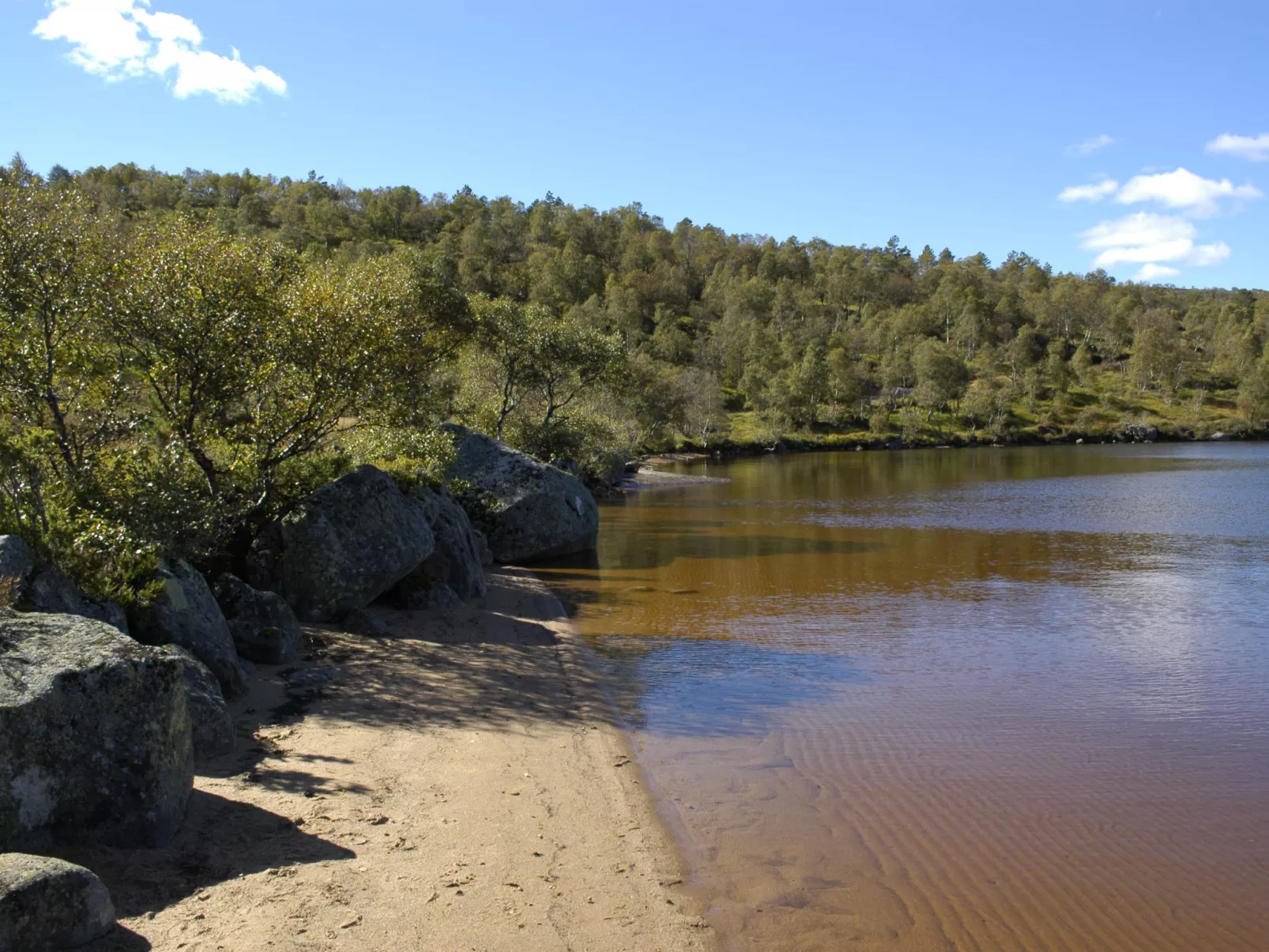 Fjellkos-Buiten