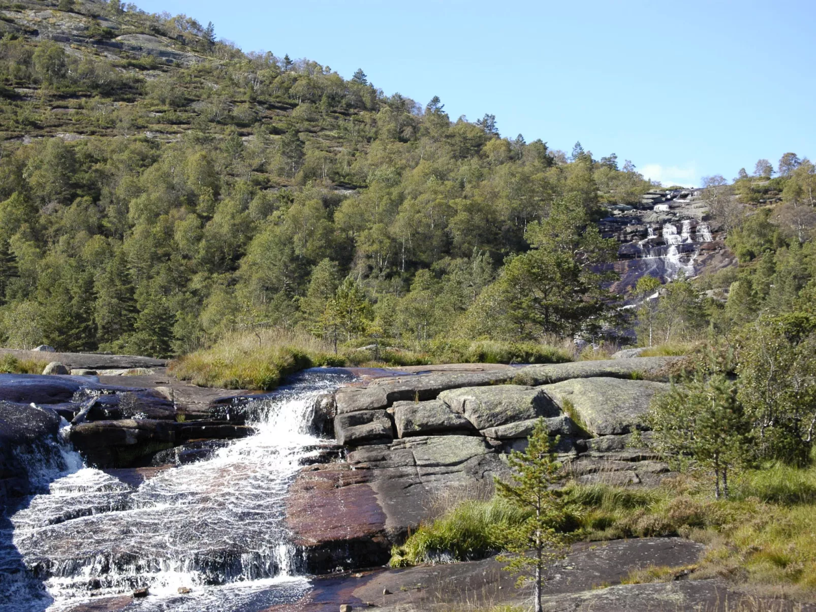 Fjellkos-Buiten