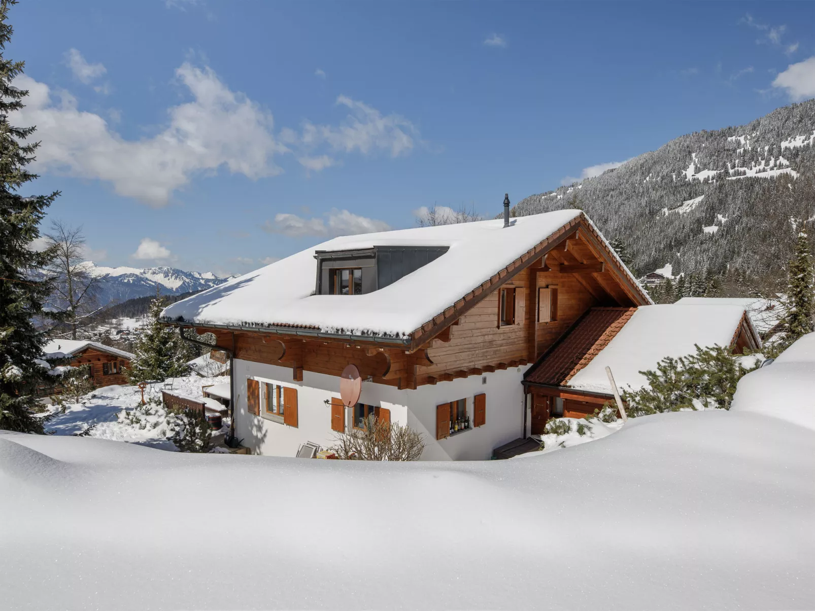 Chalet Petit Pont - Buiten