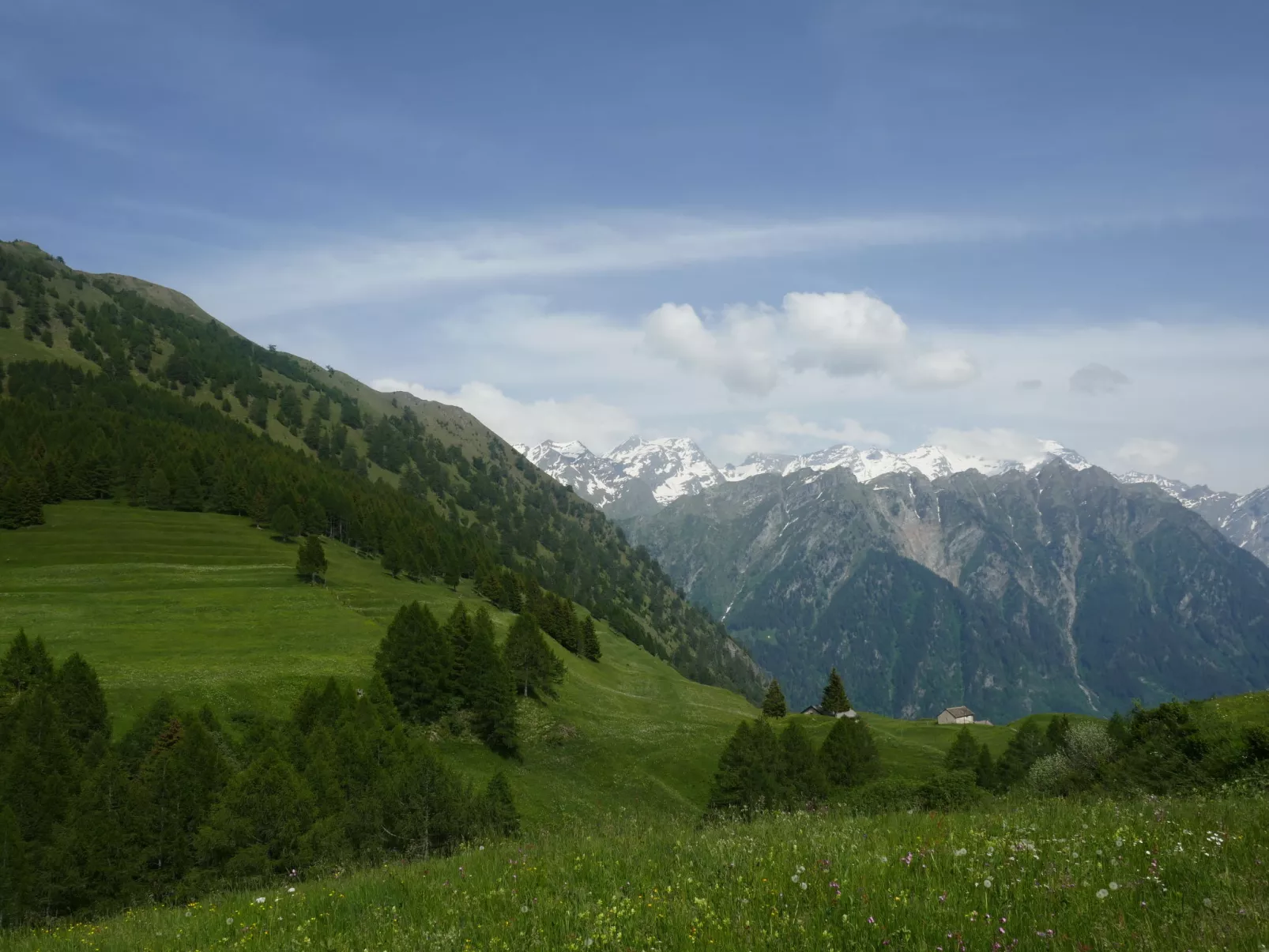 Rustico De Leoni - Omgeving