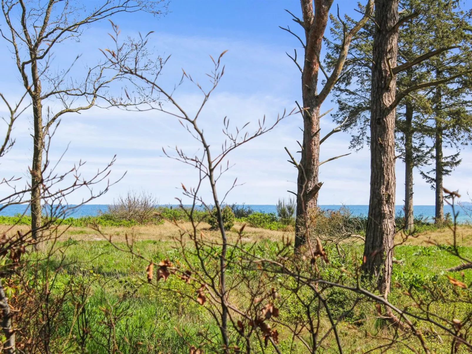 "Carit" - 80m from the sea - Buiten