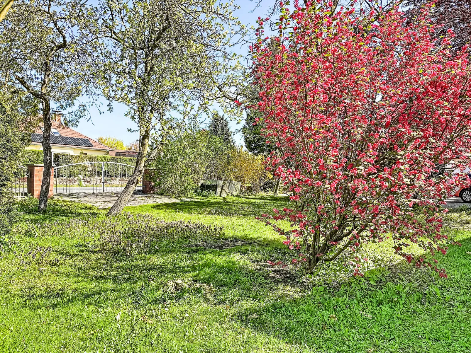 Carola - Buiten