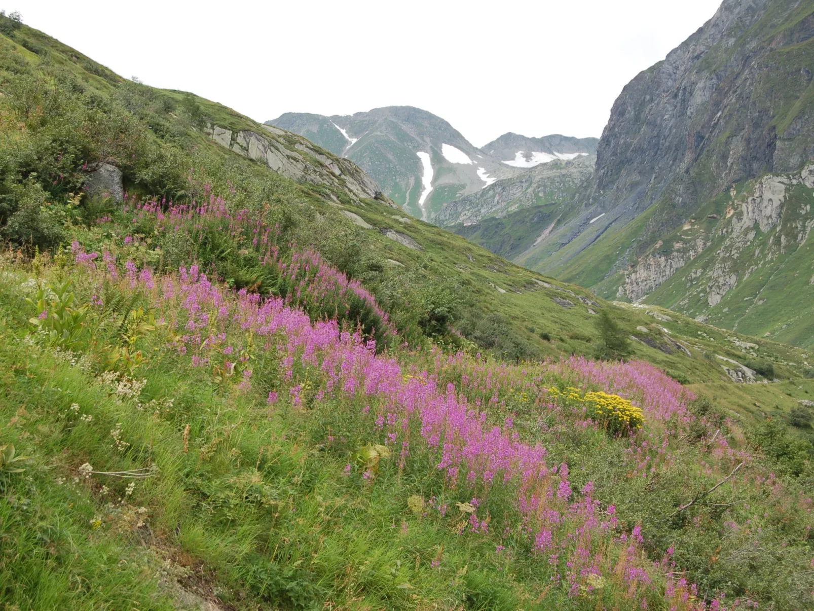 Prou Forestside - Omgeving