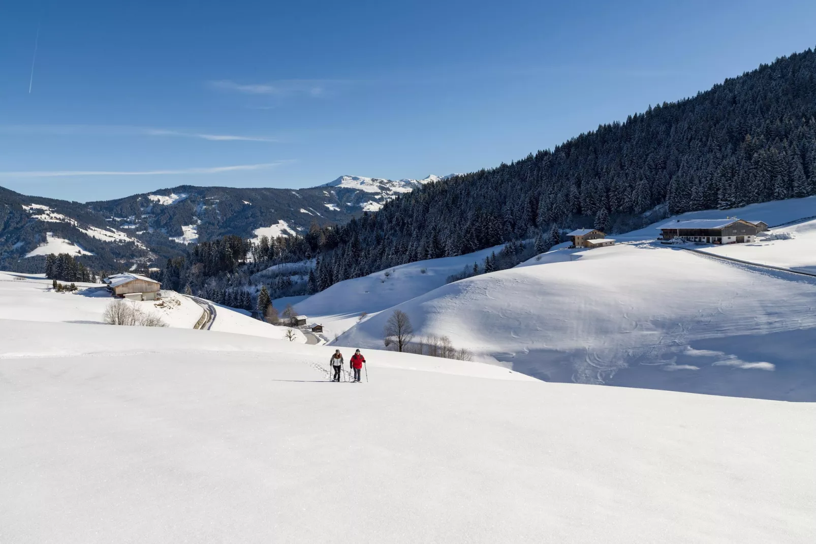 Feriendorf Wildschönau - Kragenjoch - Gebied winter 5km