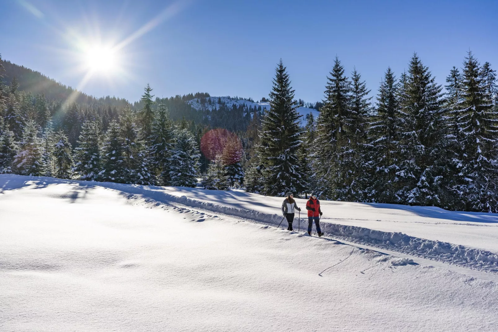 Vicky Apartment Top 2 - Gebied winter 5km