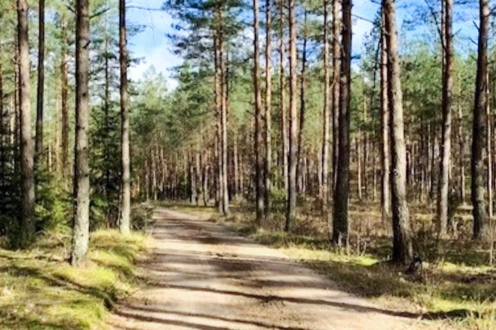 5 Personen vakantie huis in Tving - Buitenlucht