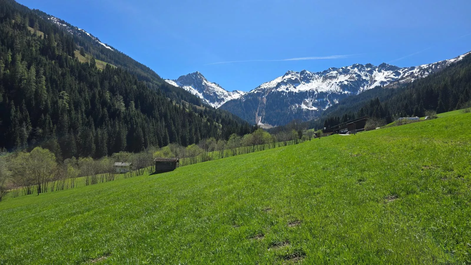 Hacklerhof Top 2 - Uitzicht zomer