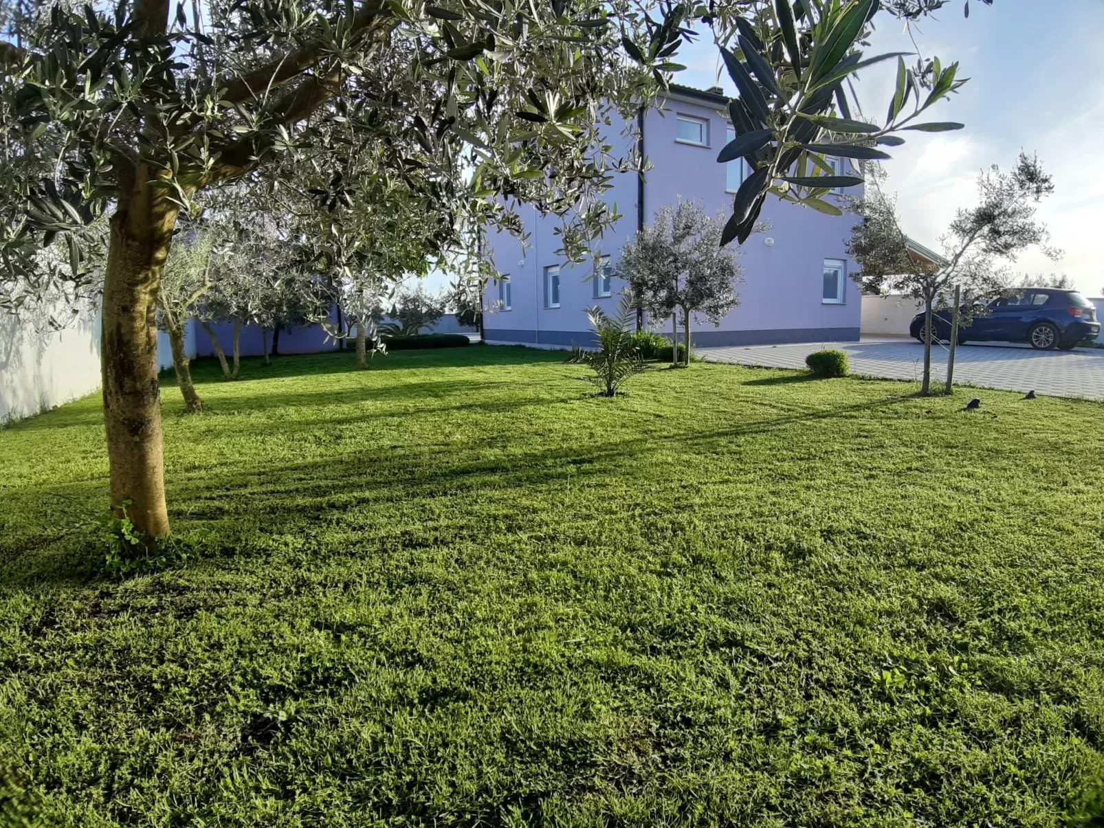 Villa Zeus - Buiten