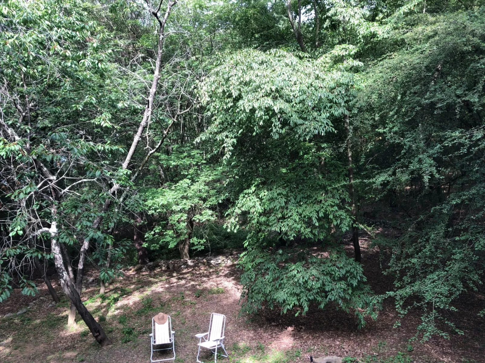 Kirschbäume, eine Oase im Wald zwischen Meer und Natur - Buiten