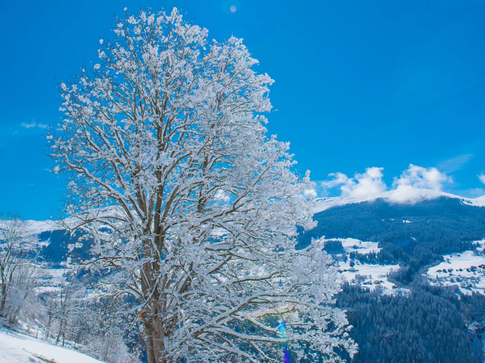 Casa Panorama Camartin, Brigels, (Breil/Brigels). - Buiten