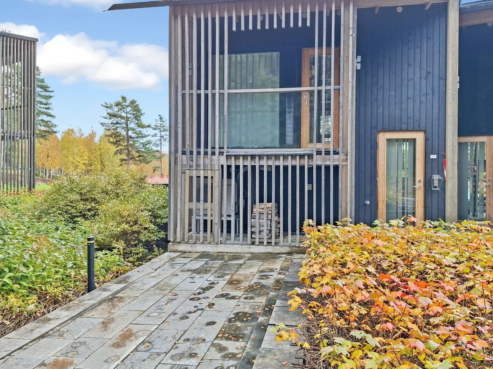 Villa sinikka 1 - Binnen
